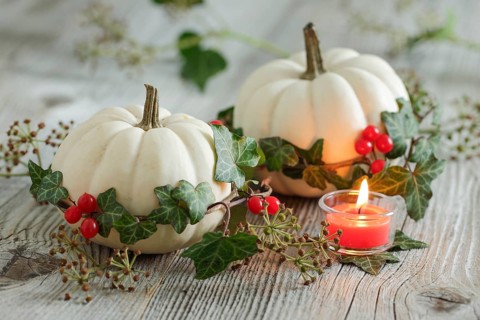 Autumnal decoration