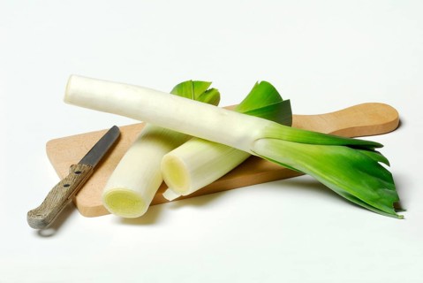 Leek