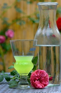Glass of Absinthe with water carafe