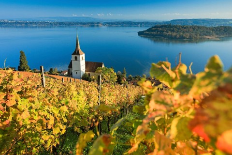 Ligerz on Lake Biel