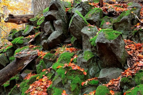 Basalt block field
