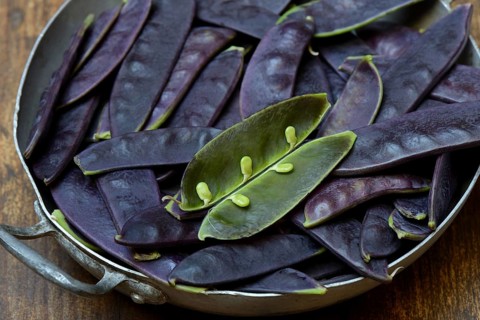 Violet pods