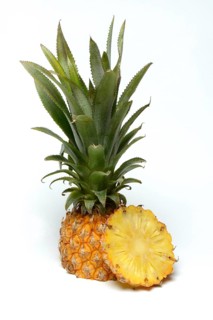 Truncated Pineapple