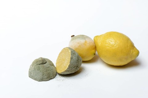 Moulded lemon