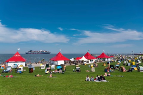 Green beach with beach chairs