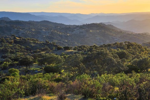 Typical landscape in the Sierra de Andujar National Park