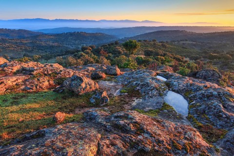 Typical landscape in the Sierra de Andujar National Park