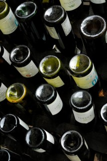 Wine bottles in rack