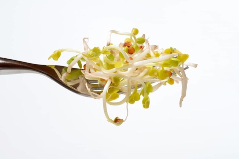 Red Radish sprouts