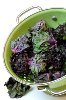Flower Sprouts in sieve
