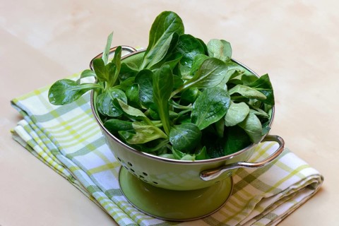 Corn salad