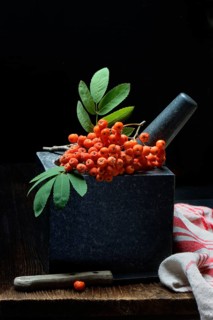 Rowanberries in grated shell
