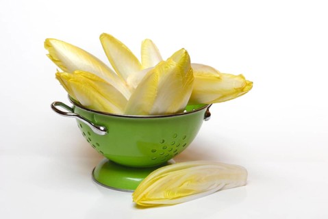 Chicory