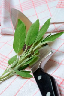 Sage sprig with knife