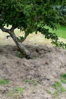 Mulching