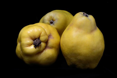 Quinces