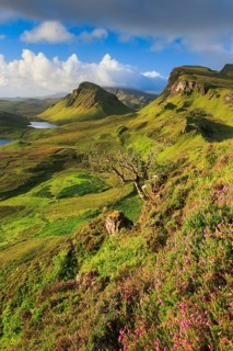 Trotternish