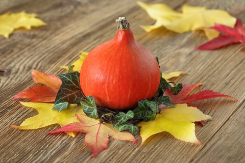 Autumnal decoration