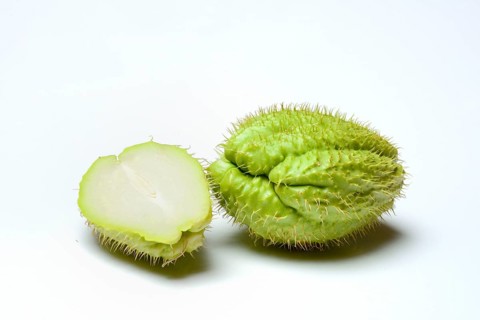 Chayote