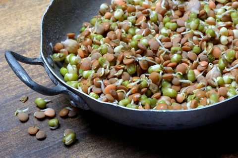 Mixed sprouts of lentils