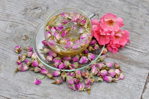 Rose tea in cup and rose buds