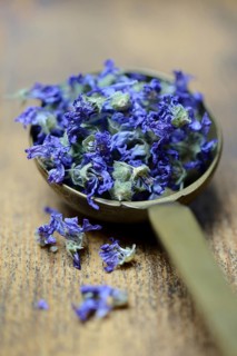 Dried mallow blossoms in scoop