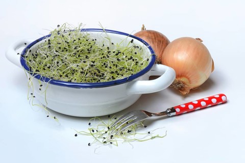 Onion sprouts in skin with fork and onions