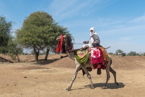 Colourful camel rider at a Tribal festival