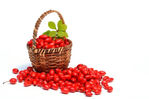 Barberry berries