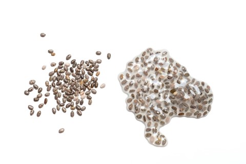 Chia