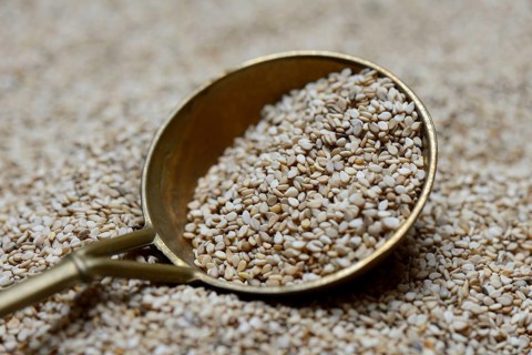 White seed