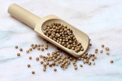 Corianderseeds
