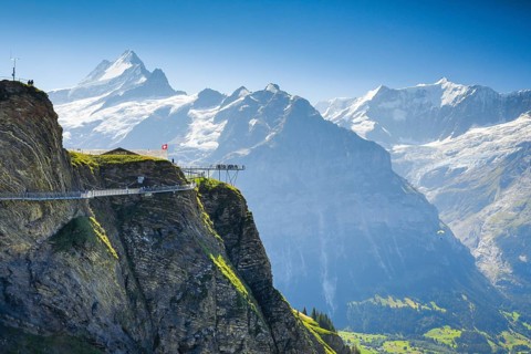 Schreckhorn