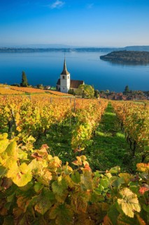 Ligerz on Lake Biel