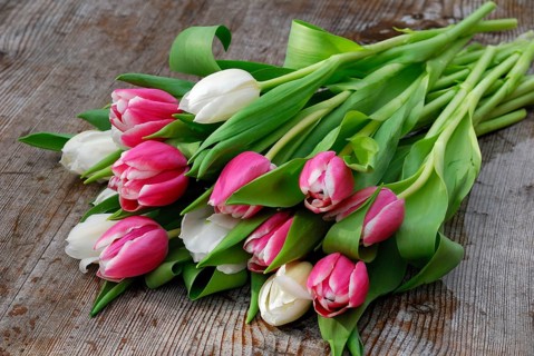 Ostrich tulips