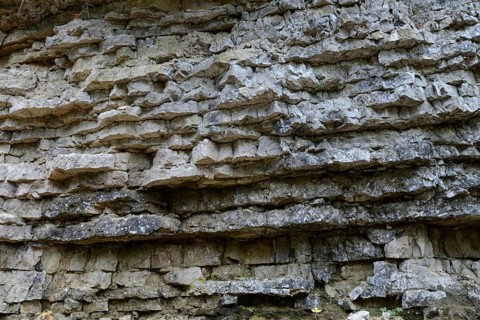 Rock face in the Wutach gorge