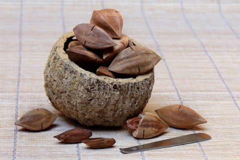 Pre-scored and opened pilinuts with pili crackers
