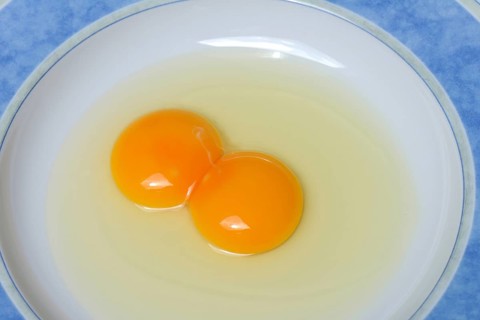 Hen's egg with double yolk