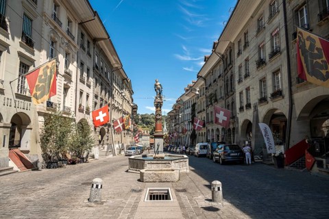 Simson fountain
