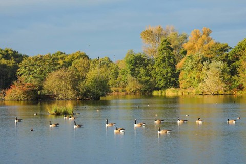 Richmond Park
