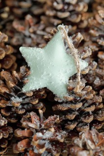 Natural Advent decoration with star
