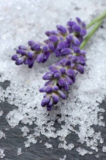 Sea salt and lavender flowers