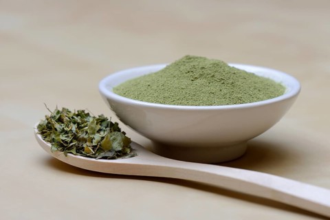 Moringa powder in bowl and moringa leaves in spoon