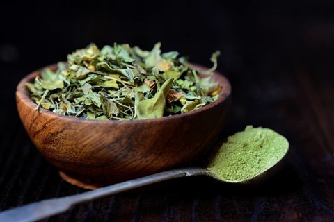 Moringa leaves in bowl and moringa powder in spoon