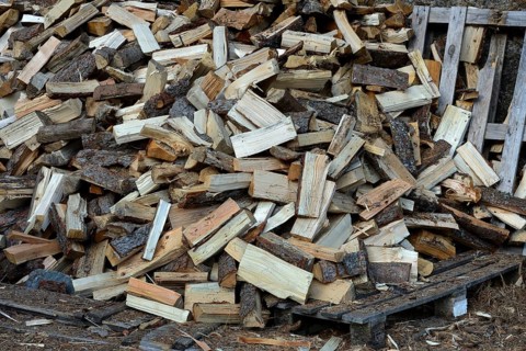 Firewood
