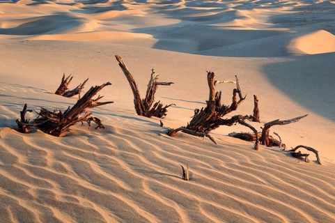 Mesquite Flats Sand Dunes