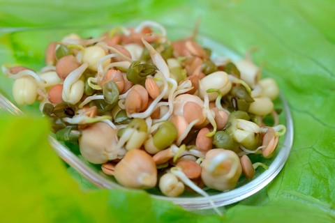 Mixed sprouts of lentils