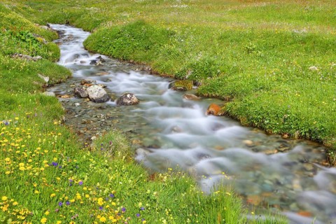 Stream in Buedner Alps