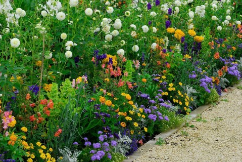 Flowerbed