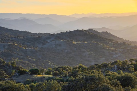 Typical landscape in the Sierra de Andujar National Park